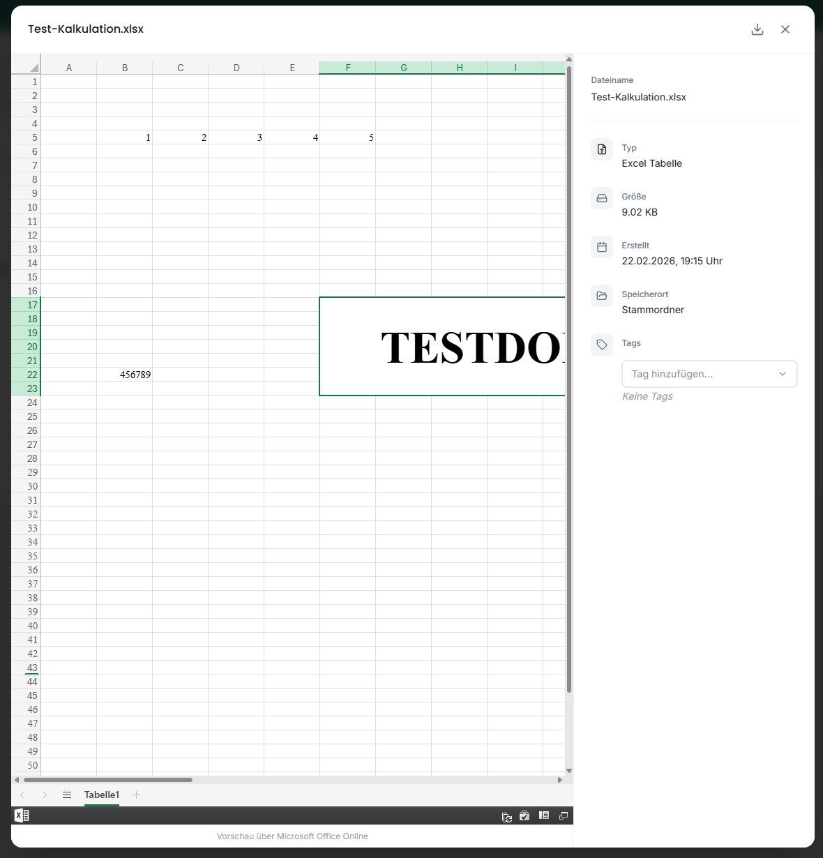 Vorschau einer Excel-Datei mit Dateiinformationen, Tags und Download-Symbol